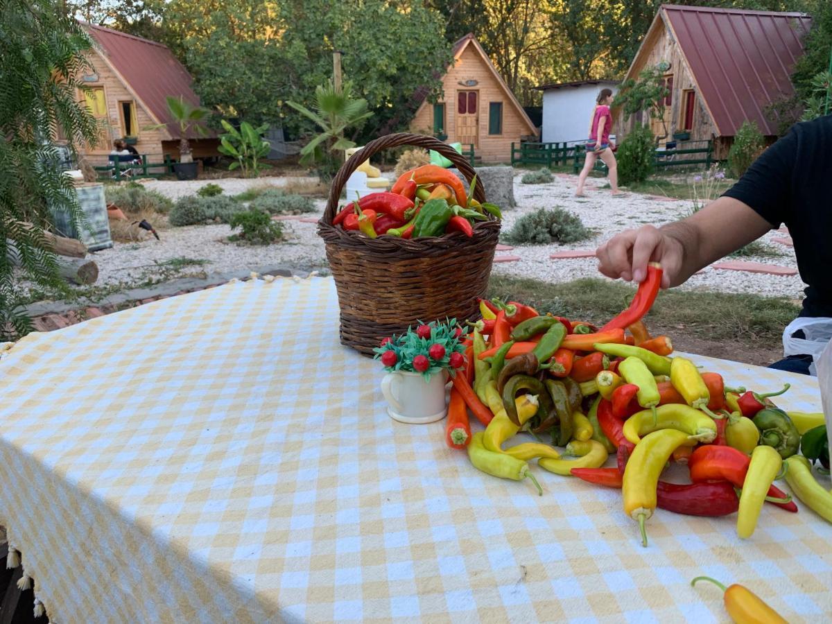 Pusula Bungalow Otel Kayakoy Bagian luar foto