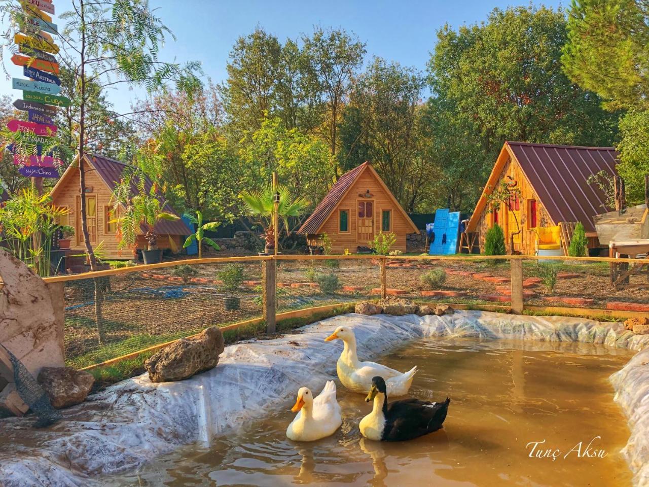 Pusula Bungalow Otel Kayakoy Bagian luar foto